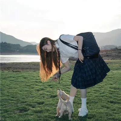 西尔维娅传